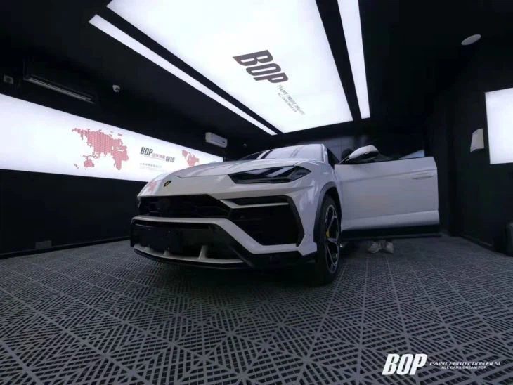 Paint Protection Film PPF Pro